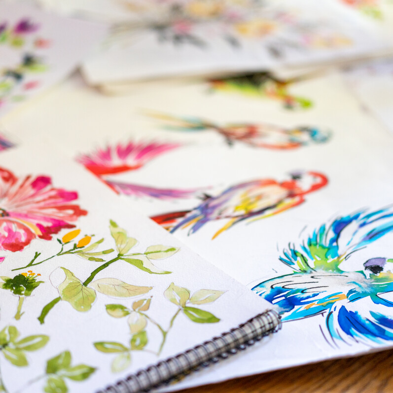 Flower and bird watercolour pictures
