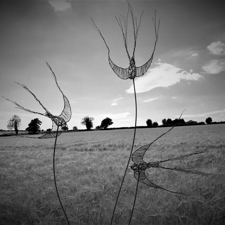Wire birds fly in a black and white landscape