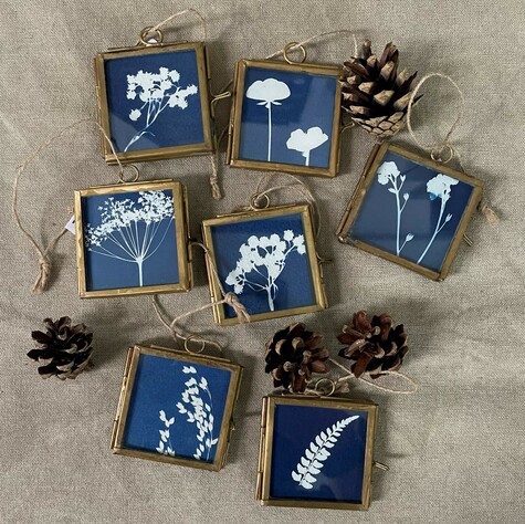Miniature cyanotype prints in gold frames surrounded by pine cones