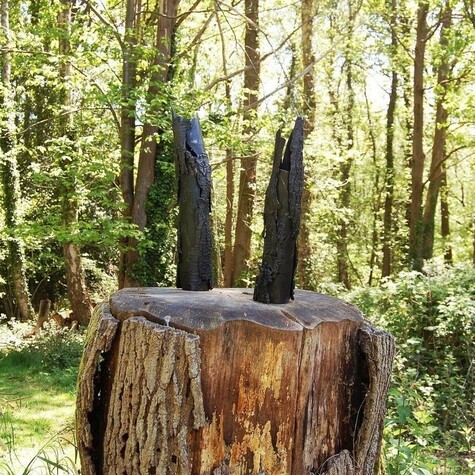 A tree stump in a forest with two dark tree bark like sculptures on top
