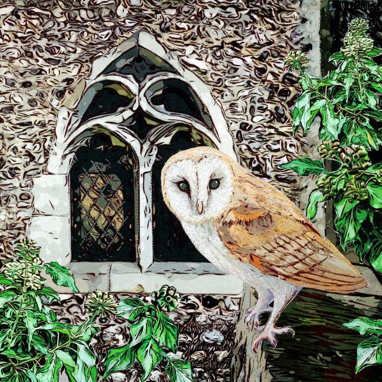 An illustration image of a barn owl perching on a branch by a church window