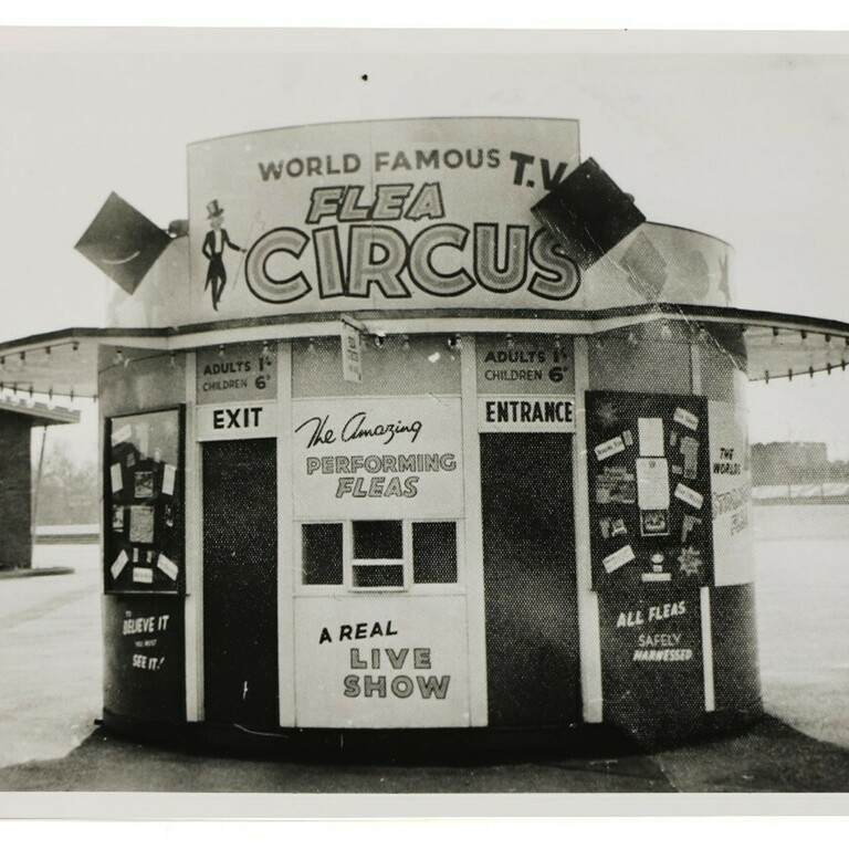 A black and white photograph showing a small round building with large signs reading: Flea Circus
